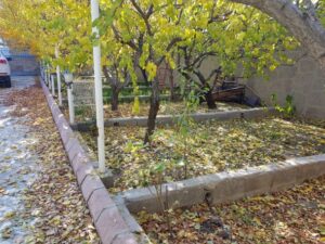 حیاط ویلای دربست در تبریز